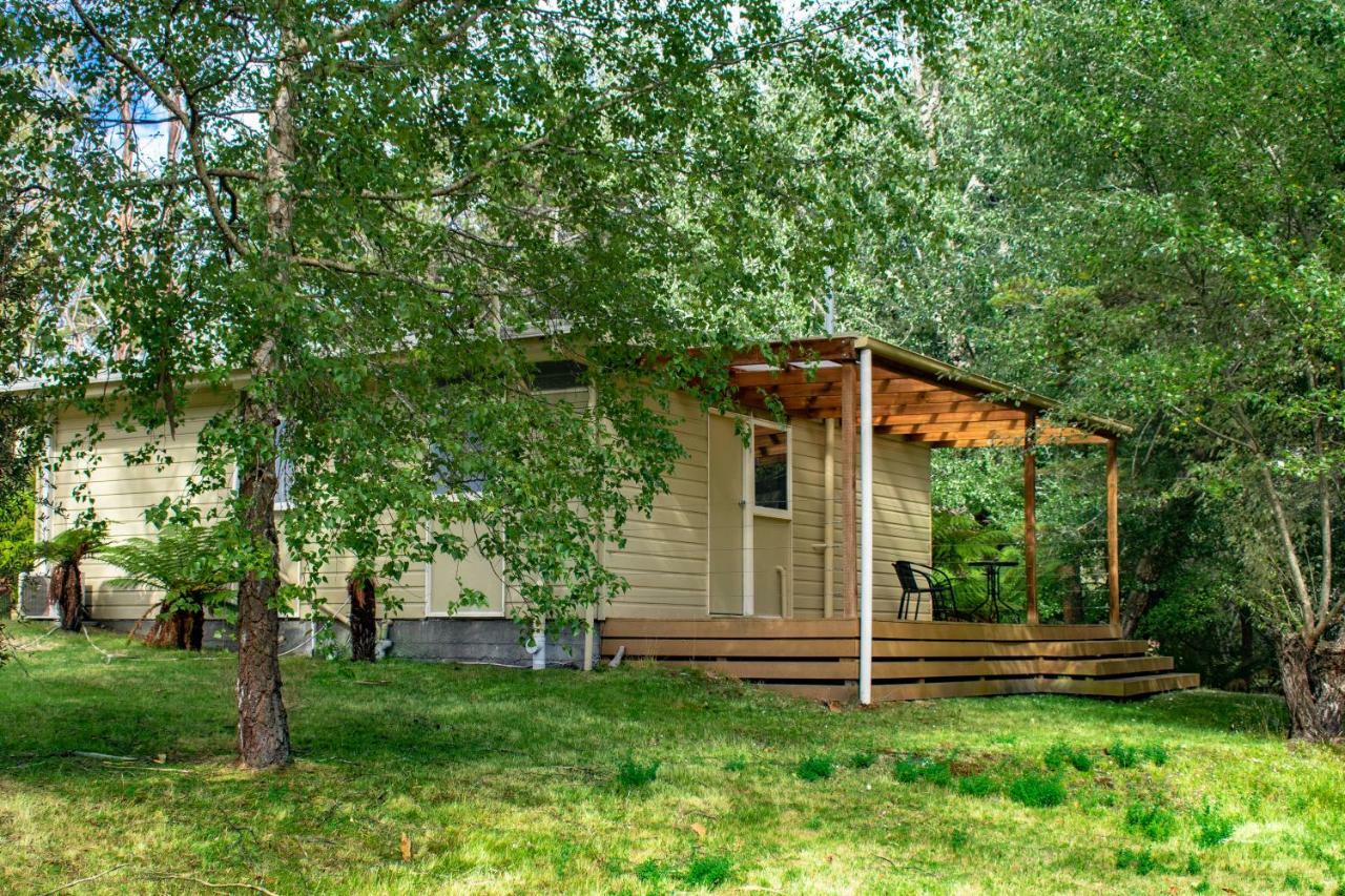 Russell Falls Holiday Cottages National Park Exterior photo