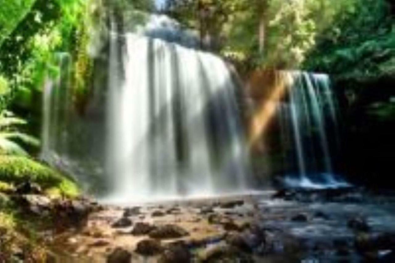 Russell Falls Holiday Cottages National Park Exterior photo