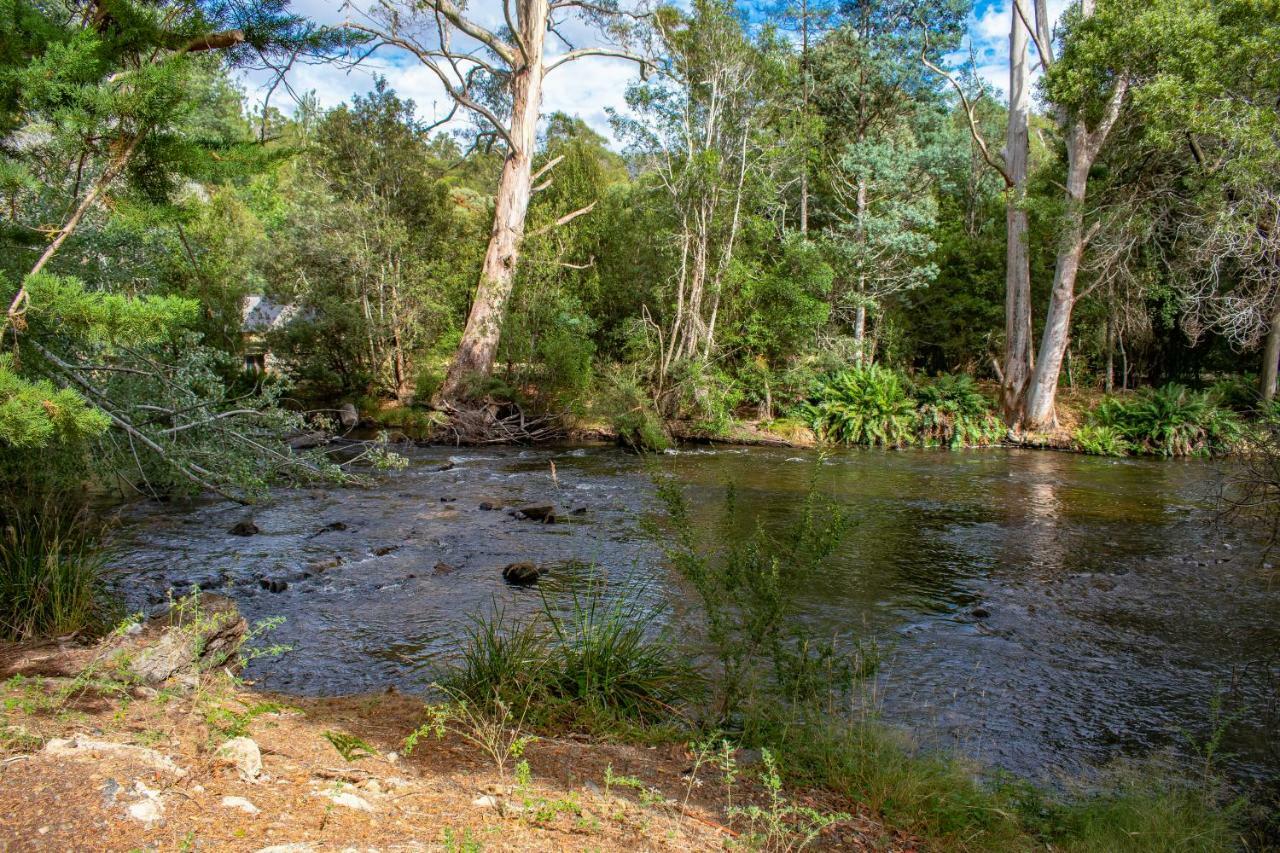 Russell Falls Holiday Cottages National Park Exterior photo